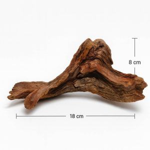 Mystic Wood fiind cunoscut si sub denumirea de Malaysian Driftwood este pâinea și untul în ceea ce privește amenajarea acvariilor din întreaga lume. Un lemn dens care se va scufunda întotdeauna cu proprietăți minime de eliberare a taninului in masa apei.