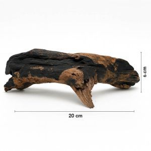 Lemn pentru acvariu Mystic Wood Model MW33