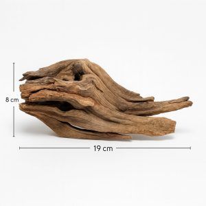 Lemn pentru acvariu Mystic Wood MW35 – lemn decorativ acvariu natural, perfect pentru un design autentic si un habitat natural in acvariu! Adauga o nota de eleganta si autenticitate acvariului tau cu Lemn pentru acvariu Mystic Wood MW35, un ornament acvariu lemn natural creat special pentru a transforma orice acvariu intr-un peisaj unic. Cu un design deosebit si o calitate superioara, acest lemn acvariu este o alegere ideala pentru pasionatii de acvaristica care isi doresc un decor natural si durabil.