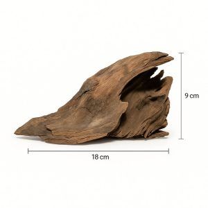 Mini Driftwood acvariu este o adevarată piesă de artă naturală care îmbogățește orice acvariu cu prezența sa unică și formă sculpturală. Acest lemn de driftwood acvariu este perfect dimensionat pentru acvarii de dimensiuni mici și medii.
