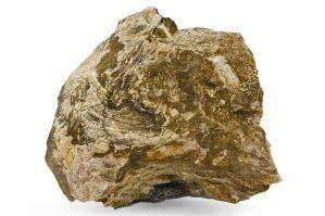 Pietre naturale acvariu Myanmar Petrified Wood per bucata model PW03
