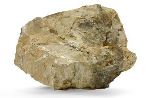 Pietre naturale acvariu Myanmar Petrified Wood per bucata model PW05