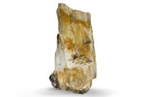 Pietre naturale acvariu Myanmar Petrified Wood per bucata model PW06