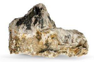 Pietre naturale acvariu Myanmar Petrified Wood per bucata model PW07
