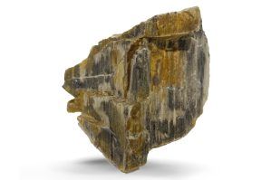 Pietre naturale acvariu Myanmar Petrified Wood per bucata model PW09