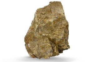 Pietre naturale acvariu Myanmar Petrified Wood per bucata model PW11