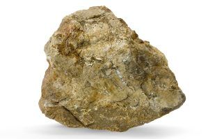 Pietre naturale acvariu Myanmar Petrified Wood per bucata model PW12