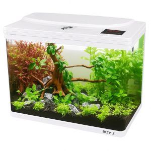 Acvariu 83 litri BOYU EM-600 alb, acvariu full led elegant, cu iluminare acvariu puternica. Acvariu cu capac ideal pentru acvariu pesti complet. Acvariu Boyu modern, parte din gama acvarii de pesti de top. Perfect ca acvariu 80 litri decorativ si eficient.