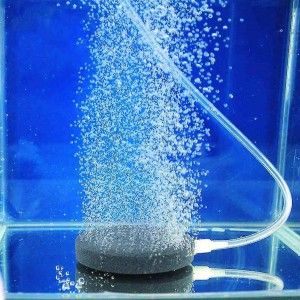 Piatra oxigenare apa acvariu disc Ø 120 mm, ideala ca piatra aerare iaz, piatra aerare pesti si piatra aerare acvariu pentru un mediu sanatos.
