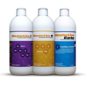 Descriere fertilizanti MasterLine I, MasterLine II si MasterLine Carbo 1000 ml  Fertilizantul MasterLine I din set fertilizanti MasterLine este o formula concentrata de fertilizare, cu micronutrienti pentru plantele acvatice si contine micronutrientii esentiali pentru o crestere sanatoasa si fara carente a plantelor din acvariu: fier, mangan, zinc, bor, cupru si molibden.  Este foarte eficient in prevenirea carentei de fier, ale carei simptome sunt frunzele noi lipsite de colorit. Se recomanda folosirea fertilizantului micronutrienti MasterLine I in paralel cu fertilizantul macronutrienti MasterLine II si cu fertilizantul Carbon MasterLine Carbo. Astfel, plantele acvatice vor primi toate elementele nutritive necesare unei cresteri sanatoase si luxuriante.  Dozarea se poate face in 2 variante: Aditie saptamanala:     7 ml pentru fiecare 30 litri apa acvariu. Aditie zilnica:                 1 ml pentru fiecare 30 litri apa acvariu. Important:  Evitati folosirea carbunelui activ in filtru sau a lampilor UV, deoarece acestea contribuie la deteriorarea elementelor continute in solutie.  Sunt posibile urme de reziduu si schimbarea culorii solutiei, insa fara a-i influenta proprietatile.Datorita agentilor chelatori de calitate superioara, elementele din MasterLine I isi pastreaza proprietatile timp indelungat, fara sa influenteze claritatea apei, fiind posibila o dozare saptamanala sau zilnica. Astfel, acvaristul are libertatea de a alege intre cele doua variante.  Agitati flaconul inainte de folosire.  Nu ingerati si nu lasati la indemana copiilor. Pastrati produsul la loc racoros si ferit de lumina.  Flaconul de 1.000 ml este suficient pentru fertilizarea a 30.000l apa de acvariu.  Fertilizantul MasterLine II din set fertilizanti MasterLine este o formula concentrata de fertilizare, cu macronutrienti pentru plantele acvatice cu un continut imbogatit in potasiu (Kalium), inspirat de la linia de fertilizare ADA.  Macronutrientii sunt elemente importante in cresterea plantelor, care de cele mai multe ori se regasesc in acvariu in concentratii prea mici, fiind necesara aditie suplimentara. Fertilizantul cu macronutrienti MasterLine II contine azot, fosfor, potasiu si magneziu. Ajuta la prevenirea algelor ca GSA (green spot algae), BGA (blue green algae), dar si Staghorn.  Se recomanda folosirea fertilizantului cu macronutrienti MasterLine II in paralel cu cu fertilizantul cu micronutrienti MasterLine I si cu fertilizantul Carbon MasterLine Carbo. Astfel, plantele acvatice vor primi toate elementele nutritive necesare unei cresteri sanatoase si luxuriante.  Dozarea se poate face in 2 variante: Aditie saptamanala:     7 ml pentru fiecare 30 litri apa acvariu. Aditie zilnica:                 1 ml pentru fiecare 30 litri apa acvariu. Important:  Evitati folosirea carbunelui activ in filtru sau a lampilor UV, deoarece acestea contribuie la deteriorarea elementelor continute in solutie.  Sunt posibile urme de reziduu si schimbarea culorii solutiei, insa fara a-i influenta proprietatile.Datorita agentilor chelatori de calitate superioara, elementele din MasterLine I isi pastreaza proprietatile timp indelungat, fara sa influenteze claritatea apei, fiind posibila o dozare saptamanala sau zilnica. Astfel, acvaristul are libertatea de a alege intre cele doua variante.  Agitati flaconul inainte de folosire.  Nu ingerati si nu lasati la indemana copiilor. Pastrati produsul la loc racoros si ferit de lumina.  Flaconul de 1.000ml este suficient pentru fertilizarea a 30.000l apa de acvariu.  Carbonul reprezinta cel mai important element pentru plante, regasindu-se in componenta acestora in proportie de 50%.  Fertilizantul MasterLine Carbo din set fertilizanti MasterLine contine carbon lichid care, datorita formei sale, este sintetizat de plante mai usor si mai rapid decat carbonul oferit prin aditie de CO2. MasterLine Carbo se poate folosi ca unica sursa de carbon sau in paralel cu CO2. Rezultate maxime in ceea ce priveste cresterea plantelor de acvariu obtinandu-se prin folosirea ambelor surse de carbon (MasterLine Carbo dar si dioxid de carbon).  Carbonul lichid are proprietati algicide, in special pentru algele de tipul Black Beard Algae (BBA), inhiband cresterea acestora.  Se recomanda folosirea fertilizantului carbon lichid MasterLine Carbo in paralel cu fertilizantul cu micronutrienti MasterLine I si cu fertilizantul macronutrienti MasterLine II. Astfel, plantele acvatice vor primi toate elementele nutritive necesare unei cresteri sanatoase si luxuriante. Dozarea se va face zilnic: Aditie zilnica:                 1 ml pentru fiecare 30 litri apa acvariu. Important:  Evitati folosirea carbunelui activ in filtru sau a lampilor UV, deoarece acestea contribuie la deteriorarea elementelor continute in solutie.  Sunt posibile urme de reziduu si schimbarea culorii solutiei, insa fara a-i influenta proprietatile.Datorita agentilor chelatori de calitate superioara, elementele din MasterLine I isi pastreaza proprietatile timp indelungat, fara sa influenteze claritatea apei, fiind posibila o dozare saptamanala sau zilnica. Astfel, acvaristul are libertatea de a alege intre cele doua variante.  Agitati flaconul inainte de folosire.  Nu ingerati si nu lasati la indemana copiilor. Pastrati produsul la loc racoros si ferit de lumina.  Flaconul de 1.000ml este suficient pentru fertilizarea a 30.000l apa de acvariu. Set fertilizanti MasterLine fabricat in Romania.