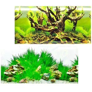 Fundal acvariu poster cu plante luxuriante, un fundal acvariu de tip dublu, oferind background acvariu natural si autocolant acvariu 3d usor de aplicat, perfect pentru a crea un peisaj subacvatic impresionant in acvariile cu inaltime de pana la 50 cm.