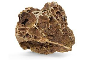 Roca pentru acvariu Maple Stone cu foto proprie model MP15