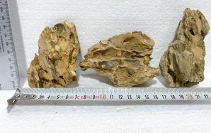 Set de 3 roci naturale Dragon Stone cod PDS3
