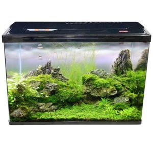 1. Acvariu cu capac filtrare si iluminare LED 127 litri, model de acvarii versatile pentru acvarii mari; acvariu pesti ieftin din sticla, acvariu cu capac sigur si elegant, acvariu acvariu 80 cm perfect pentru aquascaping si pesti exotici.