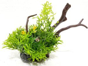 Buchet plante artificiale acvariu Buchet plante decorative acvariu cu ramuri lemn aduce textura naturala, plante artificiale verzi, decor pentru acvariu usor de amplasat, flori ornamentale artificiale durabile, zero mentenanta, sigur pentru pesti.