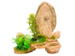 Decor acvariu stanci cu plante