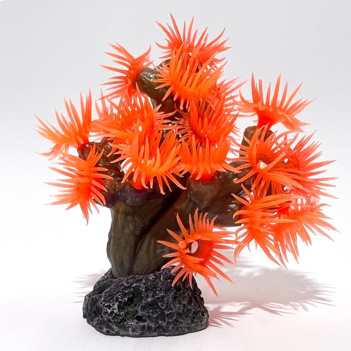 Decor coral stelat pentru acvariu 2 Decor coral stelat pentru acvariu
