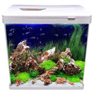 Acvariu capac alb cu sticla ultraclara de o calitate excelenta. Acvariu cu capac ce are in dotare 7 X LED (4 X daylight + 3 bluelight) si filtru acvariu on-top. Perfect Tank este un acvariu cu sistem de filtrare si iluminat LED. Cu o transparenta excelenta datorita sticlei, ”Perfect Tank” este un acvariu sticla ultraclara rotunda la colturi. Geamul frontal si cele doua laterale sunt formate din aceasi bucata de sticla. Acvariu lumina LED dotat cu un sistem de iluminare 7 X LED (4 X daylight + 3 bluelight) face acest tip de acvariu unul din cele mai luminoase întâlnite la acvariile de aceste dimensiuni. Intrerupator ON/OFF pe cablul de alimentare al sistemului de iluminare. Filtru acvariu on top 2,5W cu un debit de filtrare de 180 l/oră și material filtrant din pâslă filtrare bio-mecanică inclus. Datorită dimensiunilor reduse se poate amplasa aproape oriunde. Dimensiunile exterioare ale acvariului: 28,5 cm (Lungime) x 18 cm (latime) x 31,5 cm (înălțime) Dimensiunile interioare ale acvariului: 27 cm (Lungime) x 16 cm (latime) x 25 cm (înălțime) Grosime geam: 4 mm. Volum total al acvariului: 16 litri. Culoare: alb. Acvariul are capacitatea unui volum real de maximum 10,5 litri de apă. Caracteristici: Dimensiuni exterioare: 28.5cm (L) x 18cm (l) x 31.5cm (H) Volum total: 16 litri Dimensiuni interioare: 27cm (L) x 16cm (l) x 25cm (H) Volum real: 10.5 litri Grosime geam: 4mm Sistem de iluminare LED: 7 LED (4 daylight + 3 bluelight) Intrerupator ON/OFF: Pe cablul de alimentare Sistem de filtrare: On top 2.5W, debit 180 l/h Material filtrant: Pasla filtrare bio-mecanica inclusa Culoare: Alb Beneficii: Solutie completa: Acvariu, filtru, iluminare incluse. Usor de instalat si intretinut: Ideal pentru incepatori. Dimensiuni compacte: Perfect pentru spatii mici. Iluminare LED eficienta: Consum redus de energie. Sistem de filtrare performant: Apa curata si sanatoasa. Geam ultraclar: Vizibilitate excelenta. Colturi rotunjite: Aspect elegant si modern. Capac alb: Design elegant si armonios. Cui se adreseaza: Incepatori dar si avansati in acvaristica: O solutie simpla si accesibila. Proprietari de apartamente si spatii mici: Un acvariu compact care se integreaza perfect in orice decor. Pasionati de plante acvatice: Iluminarea LED favorizeaza cresterea plantelor. Comanda acum acvariul complet Perfect Tank si bucura-te de o oaza de relaxare in casa ta!