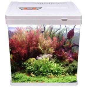Acvariu culoare alba cu filtru on-top si lumina LED. Acvariu alb cu lungime de 23 cm si volum total de 9,9 litri. Acvariu cu filtru curatare si aerare apa. Mini acvariu de sticla cu marginile frontale curbate astfel ca fata si cele doua laterale fac parte din aleeasi bucata. Sistem de filtrare on top 2,5W cu un debit de filtrare de 180 l/ora. Sistemul de iluminare 7 X LED este unul din cele mai luminoase intalnite la acvariile de aceste dimensiuni si are 4 leduri albe + 3 leduri albastre. Intrerupator ON/OFF prezent pe cablul de alimentare. Datorita dimensiunilor reduse se poate amplasa aproape oriunde. Dimensiunile exterioare ale acvariului: 23,5 cm (Lungime) x 16 cm (latime) x 26,5 cm (înălțime) Dimensiunile interioare ale acvariului: 22 cm (Lungime) x 15 cm (latime) x 22,5 cm (înălțime) Grosime geam: 4 mm. Volum total al acvariului: 9,9 litri. Culoare: alb. Acvariul are capacitatea unui volum real de maximum 7 litri de apă. Descopera eleganta si functionalitatea cu noul nostru acvariu lumina led de culoare alba dotat cu un sistem de filtrare on-top si iluminare LED. Perfect pentru orice decor interior, acest acvariu compact cu o lungime de 23 cm si un volum total de 9,9 litri este solutia ideala pentru a adauga un strop de natura si calm in spatiul tau. Cu designul sau modern si finisajul alb, acest acvariu se integreaza armonios in orice ambient, fie ca este vorba despre casa ta, birou sau orice alt spatiu care ar beneficia de prezenta relaxanta a unui ecosistem acvatic. Filtrul on-top inclus asigura o curatare eficienta si o aerare optima a apei mentinand un mediu sanatos si vibrant pentru pestii si plantele tale acvatice. Iluminarea LED nu doar ca evidentiaza frumusetea naturala a vietii subacvatice, dar contribuie si la crearea unui ciclu de zi/noapte benefic pentru echilibrul biologic al acvariului. Aceasta lumina este de asemenea extrem de eficienta din punct de vedere energetic, asigurand o vizibilitate excelenta fara a creste consumul de electricitate. Acest acvariu LED alb cu filtru pentru curatarea si aerarea apei este alegerea perfecta pentru incepatori si entuziasti ai acvaristicii deopotriva, oferind tot necesarul pentru a incepe aventura in lumea acvatica fara complicatii. Simplu de intretinut si placut din punct de vedere estetic, este o aditie de neuitat pentru orice incapere aducand frumusetea si linistea naturii mai aproape de tine. Alege acvariul alb cu filtru on-top si lumina LED pentru a crea un colt de natura linistit si inspirator in propriul tau spatiu. Este momentul sa te bucuri de un acvariu care combina designul superior cu tehnologia avansata, pentru a oferi o experienta completa si satisfacatoare de acvaristica.
