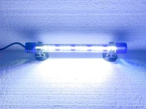 Lampa cu leduri submersibile 20 cm white & blue, instalatie iluminare acvariu, ofera lumini subacvatice perfecte pentru un mediu acvatic vibrant. Lampa este total izolata impotriva umiditatii si care se poate scufunda total in apa. Fiabila si luminoasa. Lampa submersibila cu lumina alba si albastra cu performante mari. Solutia optima, ieftina si eficienta de instalatie iluminare acvariu a carui sistem vechi de iluminare nu mai functioneaza. Aceasta lampa cu leduri poate fi folosita inclusiv la lumini subacvatice, iluminatul diverselor incinte, iluminatul pe timp de noapte a gradinilor, iazuri, alei, etc. Lampa submersibila LED de calitate superioara. Consum scazut de energie electrica si durata mare de viata. Culoare: ALB DAYLIGHT + BLUE. Lampa are 14 leduri albe si 4 leduri albastre de generatie recenta cu luminozitate ridicata si consum mic de energie electrica. Lungime = 20 cm. Diamentru = 18 mm. Consum de energie electrica = numai 1 W. Lungimea cablului de alimentare = 117 cm. Solutia optima de a suplimenta lumina in acvariu sau de a inlocui vechiul sistem de iluminare. Gata de a fi pusa in functiune. Vine echipata cu intreaga instalatie electrica. Se poate monta in egala masura atat deasupra acvariului asigurand iluminatul acestuia cat si sub nivelul apei creand un spectacol de lumina deosebit. Se poate monta in iazuri si fantani arteziene pentru iluminatul nocturn. Ventuze pentru sistemul de prindere pe geam incluse.