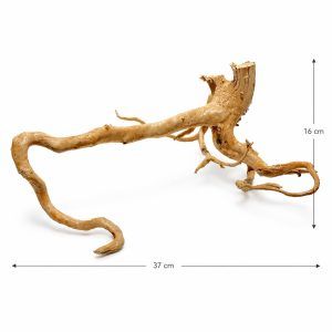 Radacina lemn acvariu HW02, lemn de acvariu cu ramificatii complexe si aspect natural fascinant, ideal pentru decorarea creativa a acvariului. Aceasta radacina lemn acvariu este o piesa unica, cu un design spectaculos, care transforma complet orice acvariu, adaugand o nota autentica si naturala. Realizata din lemn de acvariu de esenta tare, radacina HW02 este potrivita atat pentru acvariile de apa dulce, cat si pentru terarii cu reptile, oferind un plus de estetica si functionalitate prin ascunzisuri pentru pesti si reptile.