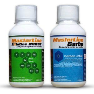 Set MasterLine Carbo si All In One Boost 200 ml