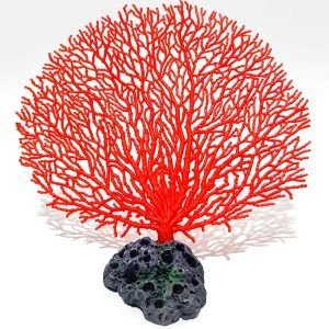 Imagine detaliata cu Coral acvariu evantai așezat pe piatra decorativa, un decor acvariu vibrant. Corali evantai in nuanta coral rosu, perfect pentru a aduce un plus de culoare si a crea un recif spectaculos.