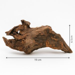 Cioata acvariu MW04 adauga un aspect natural si autentic, fiind un decor acvariu ideal realizat din lemn pentru acvariu de calitate superioara
