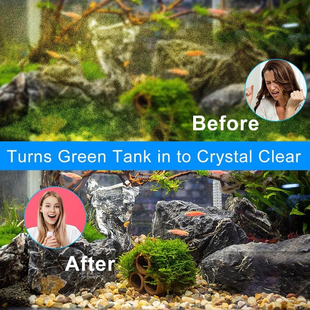 Filtru acvariu extern pentru acvarii pana la 90L 5 Transforma un acvariu verde sau tulbure intr-unul perfect cu acest filtru acvariu extern! Filtre acvarii externe ultra eficiente pentru apa clara si sanatatea pestilor tai.