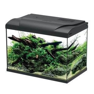 Acvariu pentru pesti 19L, un acvariu cu capac, parte din gama de acvarii mici complete. Un acvariu mic cu filtru si capac, perfect pentru incepatori. Ofera iluminare LED si filtrare eficienta.