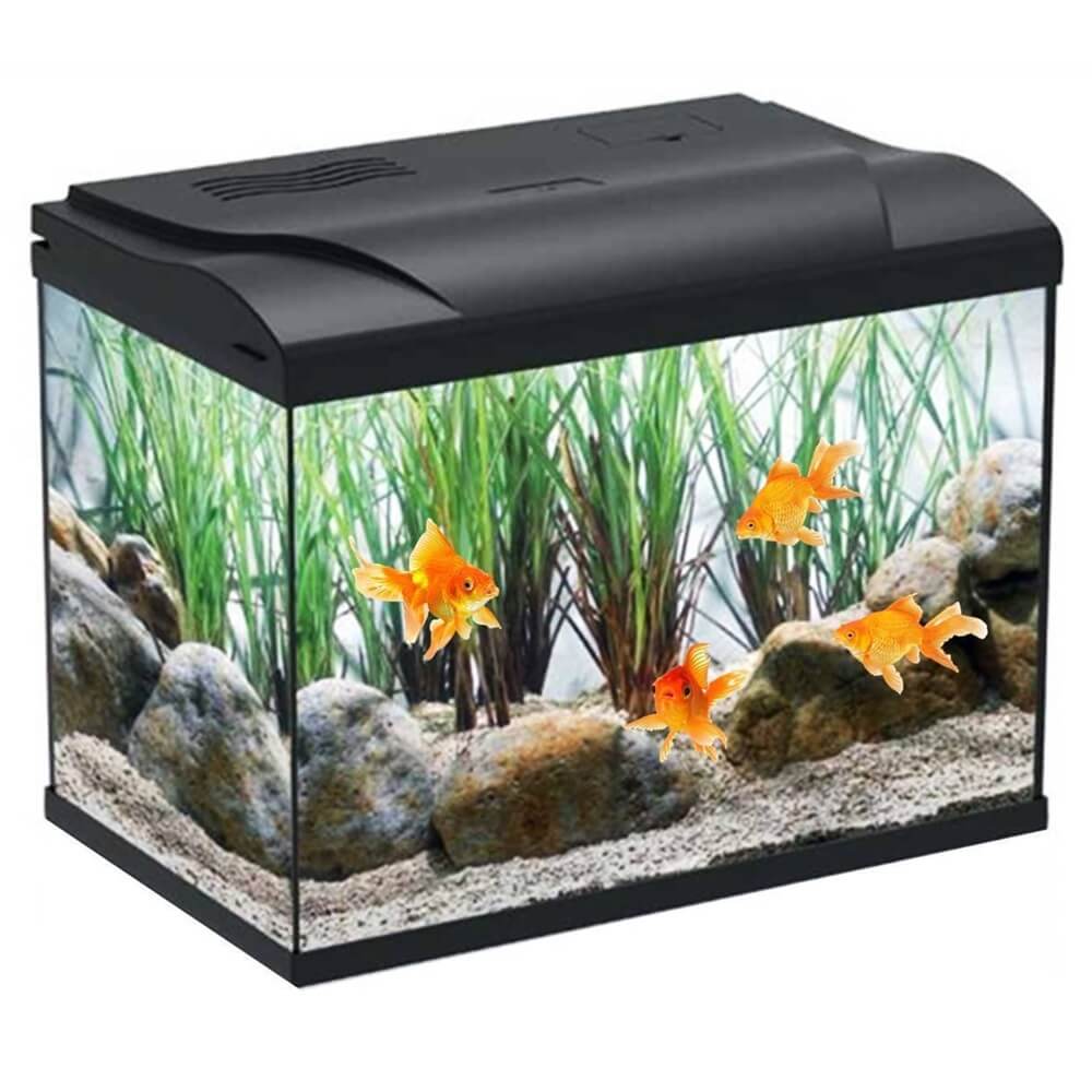 Acvariu pentru pesti 19L cu capac si filtru 2 Acvariu 19 litri modern, acvariu pentru pesti usor de intretinut. Acest acvariu cu capac se remarca in seria de acvarii mici complete. Un acvariu mic cu filtru si capac pentru un habitat stabil.