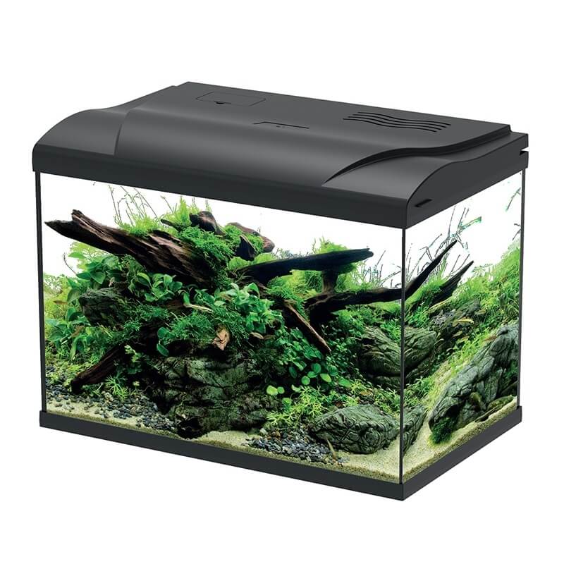 Acvariu pentru pesti 19L cu capac si filtru 1 Acvariu pentru pesti 19L, un acvariu cu capac, parte din gama de acvarii mici complete. Un acvariu mic cu filtru si capac, perfect pentru incepatori. Ofera iluminare LED si filtrare eficienta.