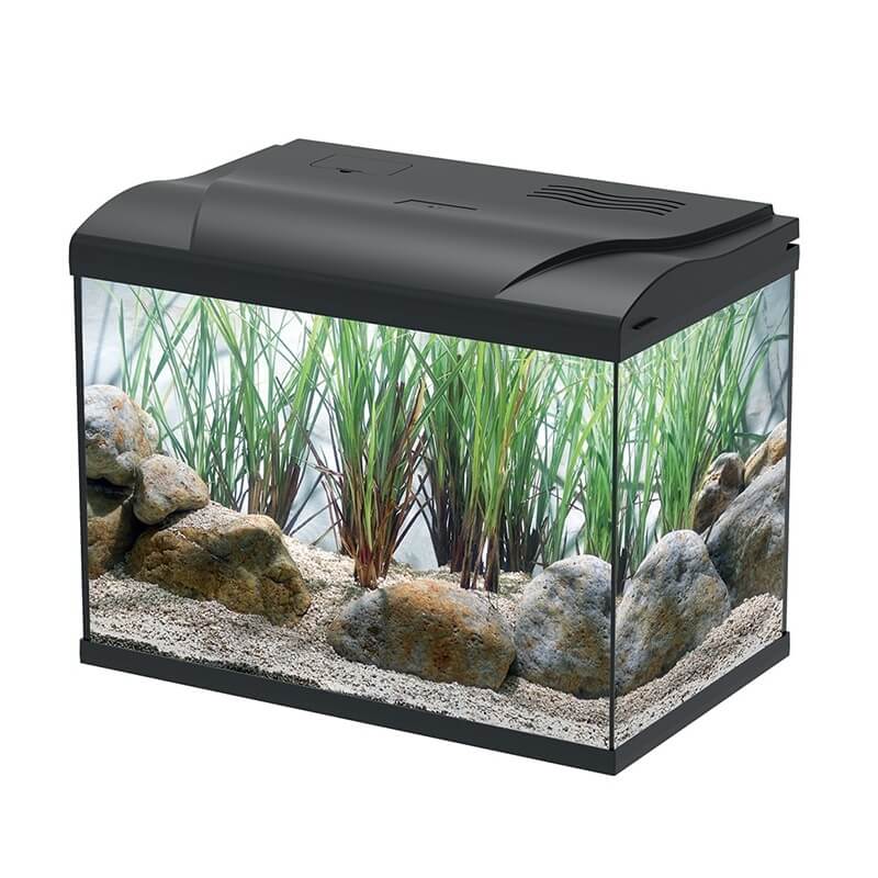 Acvariu pentru pesti 19L cu capac si filtru 3 Acvariu mic cu filtru si capac, acvariu 19 litri pentru pesti. Perfect pentru spatii reduse si recomandat in gama de acvarii mici complete. Asigura confort si claritate printr-un design compact.
