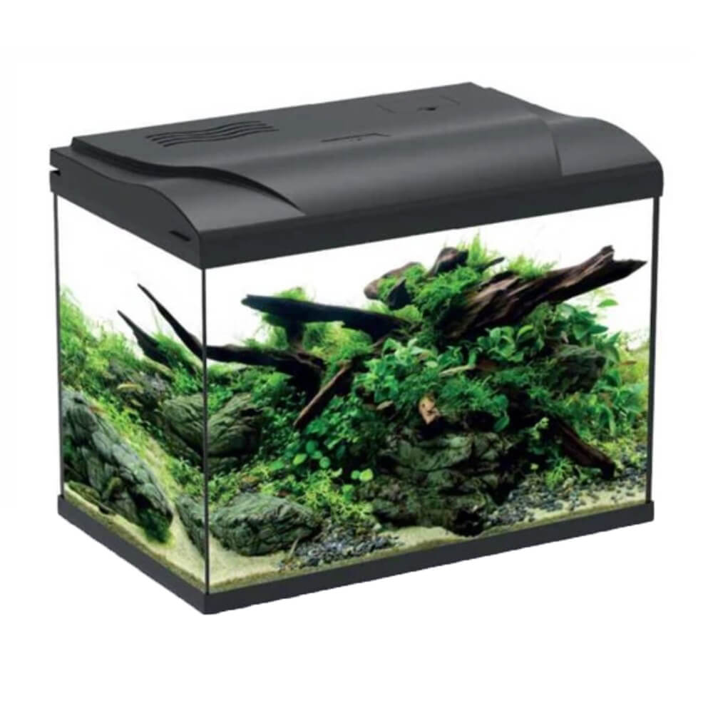 Acvariu pentru pesti 19L cu capac si filtru 8 Acvariu pesti de 19 litri, un acvariu cu capac negru. Gama de acvarii mici complete ofera un acvariu mic cu filtru si capac, usor de gestionat si ideal pentru specii mici de pesti.