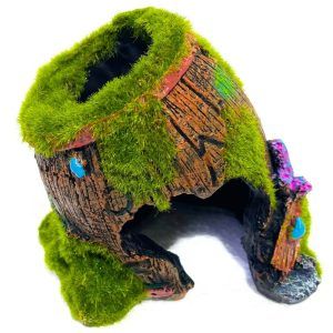 Decor acvariu butoi cu moss, un decor acvariu inovator ce aduce un plus de naturalete. Printre cele mai atractive decoratiuni acvarii, perfect pentru amenajarea unui acvariu care iese in evidenta prin culoare si design original.