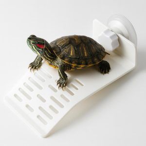 Platforma mica broasca testoasa 16x9 este solutia ideala pentru un habitat echilibrat. Aceasta insula testoaselor mici ofera loc de odihna si hranire intr-un design compact. Face parte din gama de accesorii acvariu broasca testoasa, contribuind la confort si bunastare.