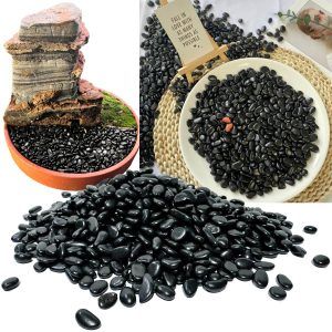 Pietricele decorative pentru flori transformă orice aranjament. Ideal pentru un aspect modern, pietris negru acvariu adauga contrast spectaculos, iar pietre decorative ghiveci ofera stil si rafinament. Alege pietris negru decorativ pentru plante si pietris acvariu negru pentru un design impecabil.