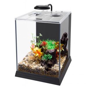 Acvariu complet utilat premium pentru pasionatii de aquascaping. Acest acvariu pesti complet tip acvariu nano cube se incadreaza in categoria de acvarii echipate complet, fiind o alegere moderna si compacta pentru orice spatiu. Ideal pentru iubitorii de nano acvarii, ofera functionalitate si eleganta ca nano acvariu 11 litri.