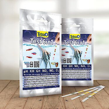 Tester apa acvariu Tetra Test 6 in 1 teste acvariu 10 benzi 8 Tester apa acvariu Tetra Test 6 in 1 este alegerea ideala pentru pasionatii de acvaristica. Kitul include 10 benzi de teste apa acvariu pentru verificari rapide si corecte. Cu aceste teste acvariu tetra 6 in 1, monitorizezi parametrii esentiali si asiguri un mediu echilibrat pentru pestii tai.