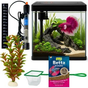 Acvariu Betta modern si compact, acvariu pesti mic ideal. Set acvariu complet si acvariu mic echipat perfect pentru acvariu Betta Fish.