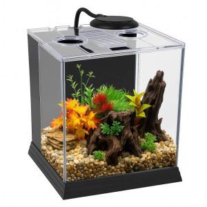 Nano acvariu pesti complet de 20 litri este alegerea ideala pentru pasionatii de acvarii nano. Acest acvariu complet echipat din sticla transparenta ofera un habitat sigur si estetic pentru pesti. Compact si elegant, acest acvariu 20 litri reprezinta solutia perfecta pentru un spatiu modern dedicat vietii acvatice.
