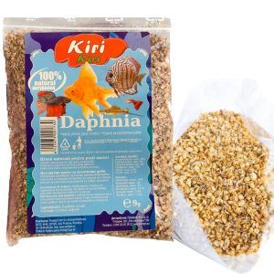 Purici de balta naturali pentru acvariu. Daphnia bogata in nutrienti, ideala ca hrana pesti. Sanatosi si usor digerabili, purici de apa premium.