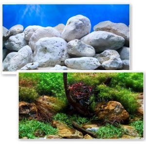 Fundal acvariu 2 fete roci/plante 1mX30cm. poster acvariu cu efect natural, taie la dimensiune si lipeste usor. Pentru acvarii 30cm. Efect 3D natural.