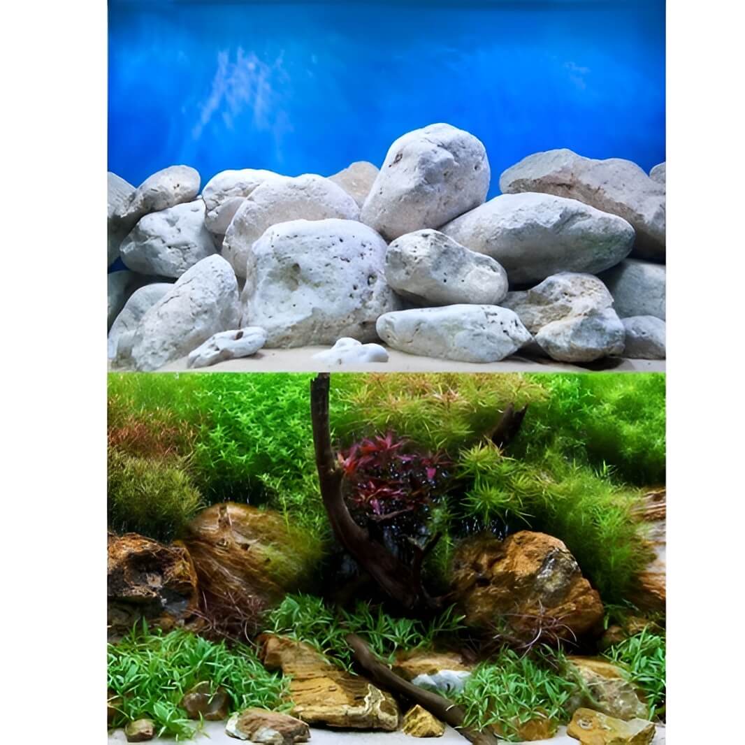 Fundal acvariu 2 fete 1mX30cm poster acvariu roci si plante 4 Fundal acvariu 2 fete 1mX30cm, roci pe o parte, plante pe cealalta. poster acvariu perfect pentru refresh rapid si decor curat, fara bule. pentru 30cm