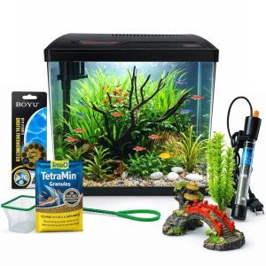 Acvariu pesti echipat 16 litri, acvariu cu filtru si incalzitor + accesorii, set acvariu complet pentru pesti, practic si usor de folosit si de intretinut.