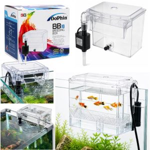Maternitate externa pesti acvariu Dophin BB10 cu pompa, ambalaj si exemple de utilizare