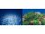 Fundal acvariu 2 fețe 40 cm X 1 metru model PS63-71-40cm
