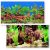 Background acvariu vegetatie luxurianta 100X50cm