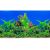 Fundal acvariu 2D Paradis verde 100 X 50 cm