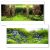 Fundal acvariu 3D background peisaj natural 100X70cm